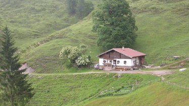 Bacheralm in de Kitzbüheler Alpen, © Irene Prugger