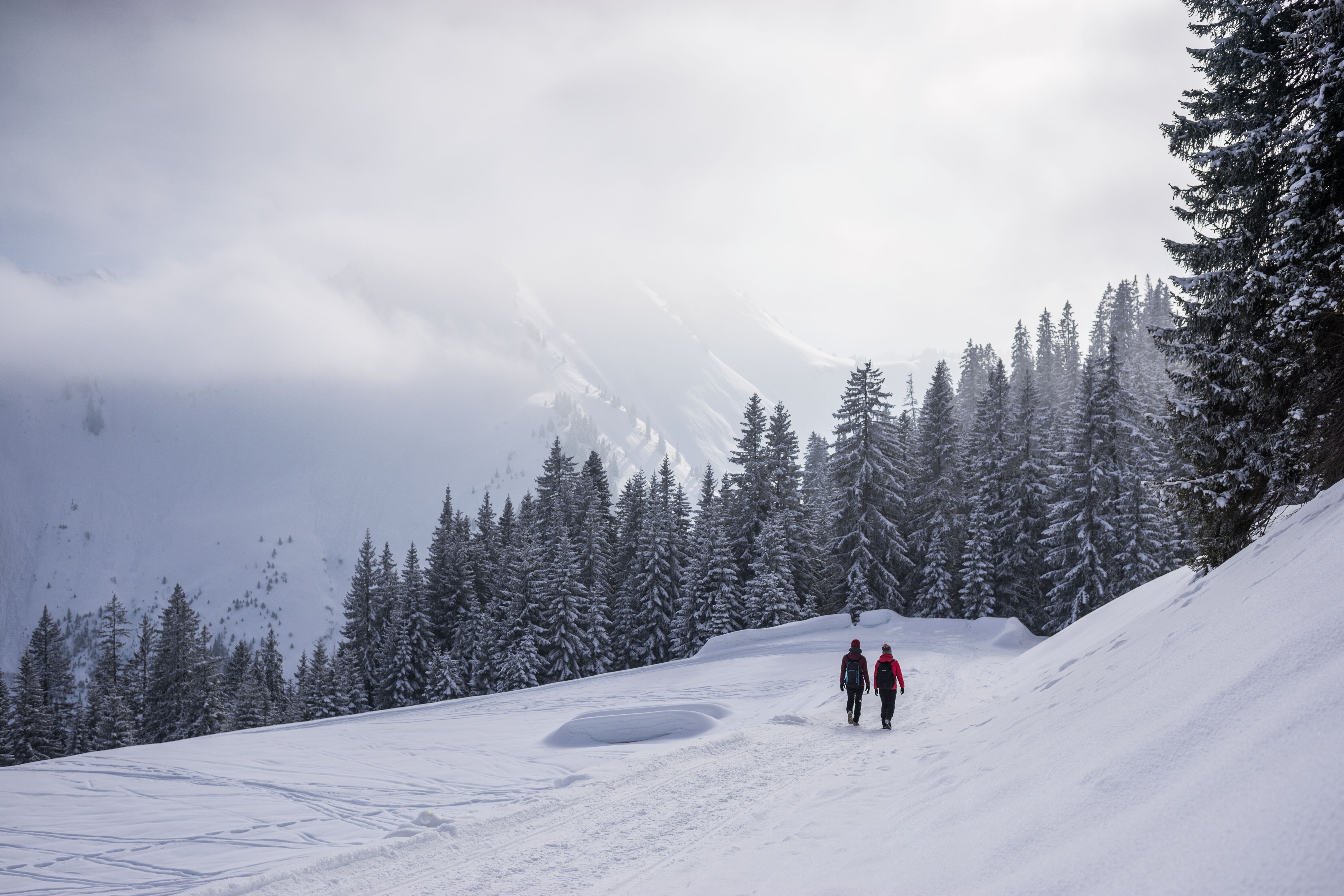 Winterwanderung zu Ehenbichler Alm