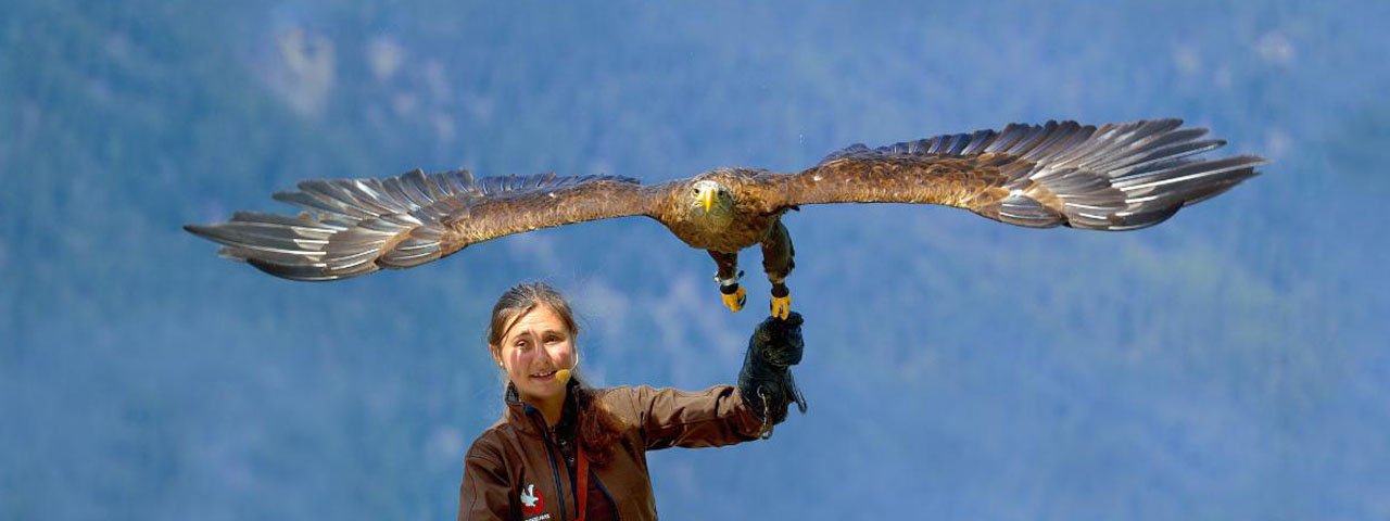 © Greifvogelpark Umhausen