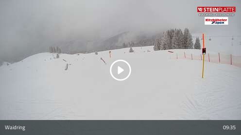 Webcam Snowpark / Triassicpark