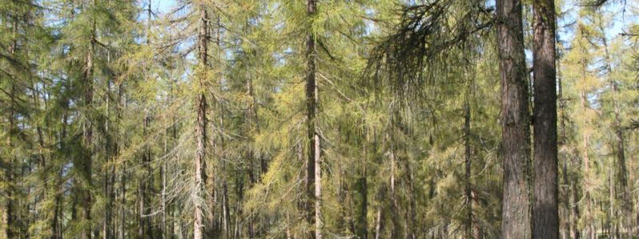 Mieminger Gebirge rondrit, Etappe 1: Imst - Leutasch, © Tirol Werbung