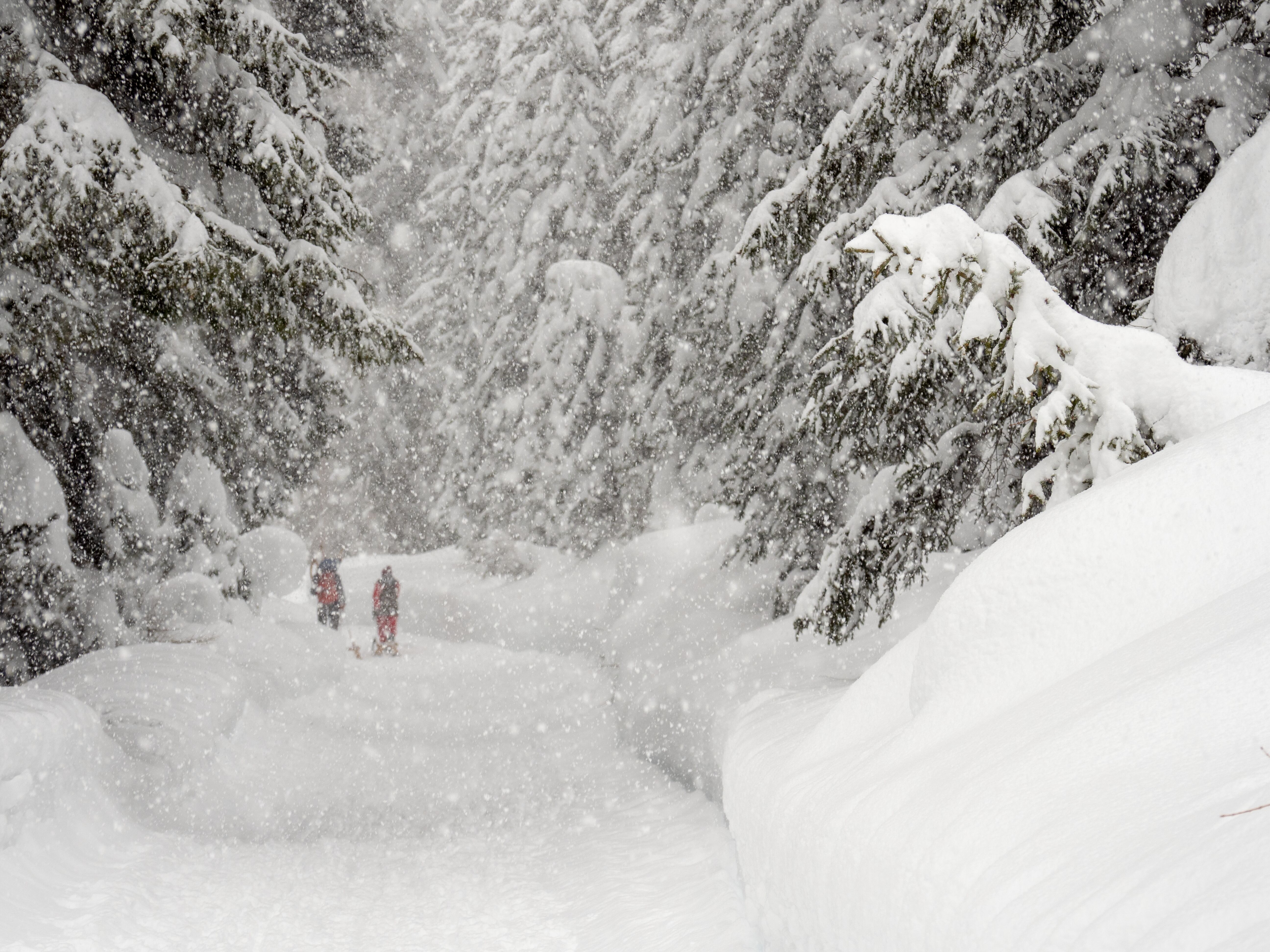 Zwei Rodler auf der Rodelbahn während es schneit.