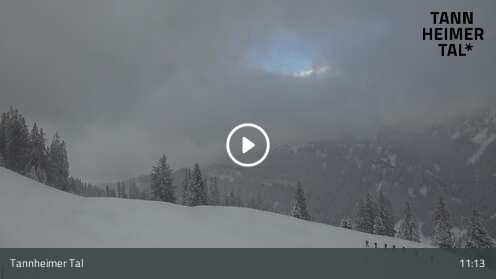 Webcam Krinnenalpe