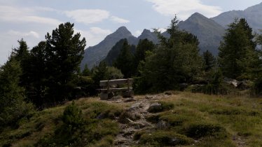 Adelaarsweg etappe 13: Zirbenweg, © Tirol Werbung/Jenewein Markus