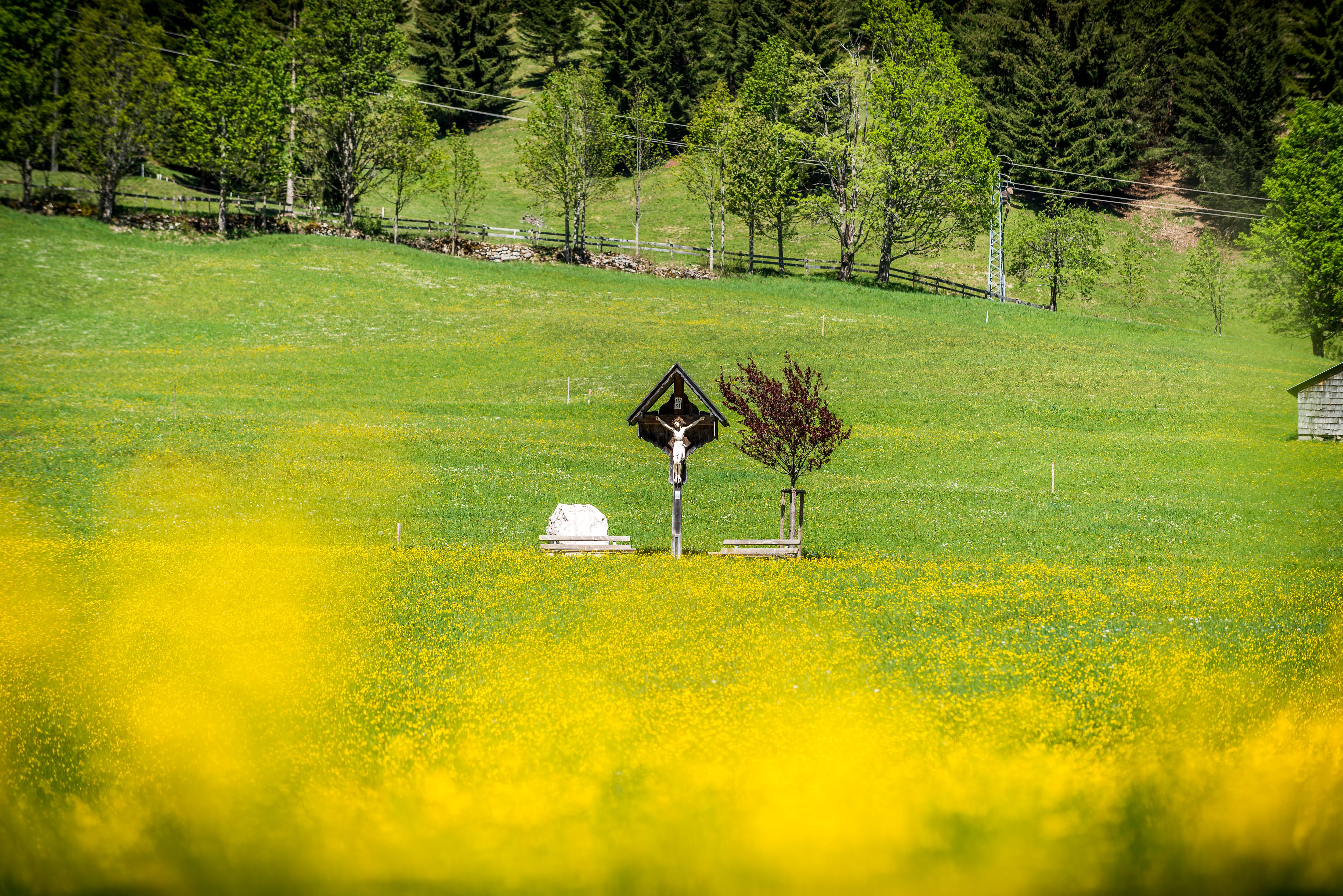 Wiese mit gelben Blumen und zwei Bänken, in deren Mitte sich ein Jesu-Kreuz befindet