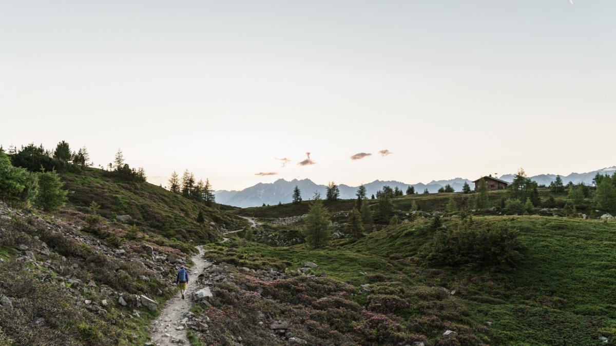 De Zirbenweg: een heerlijke bergervaring