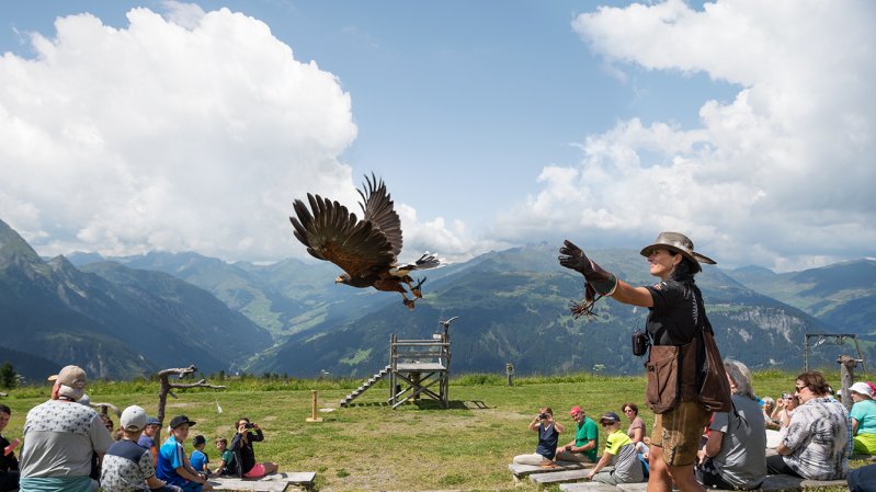 © Mayrhofner Bergbahnen