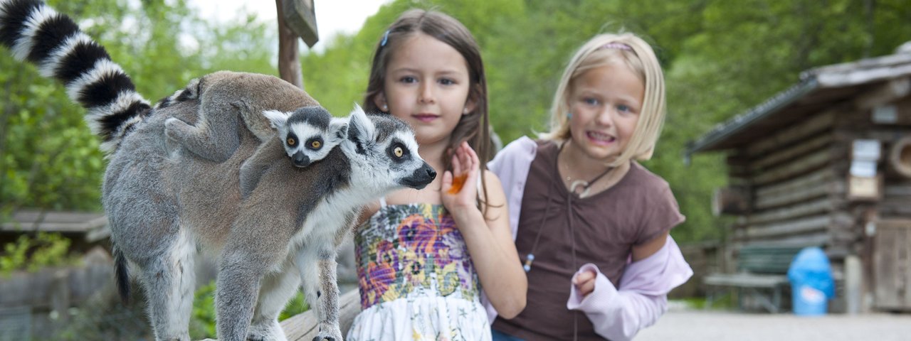 Dierenwereld Raritätenzoo Ebbs, © Ferienland Kufstein