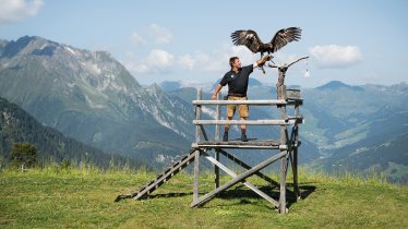 Adlerbühne Ahorn Mayrhofen, © Mayrhofen Bergbahnen