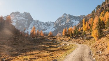 De omgeving van de Tiefentalalm, © Jannis Braun