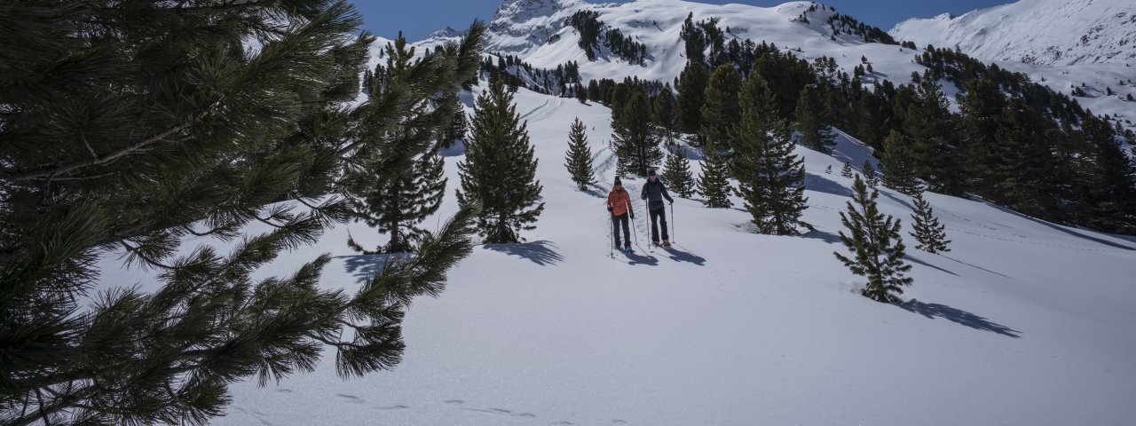 Im Gurgler Zirbenwald, © Ötztal Tourismus