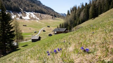 Lente in Pfundser Tschey, © Tirol Werbung/Marion Webhofer