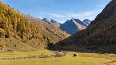 Het Winkeltal in de herfst