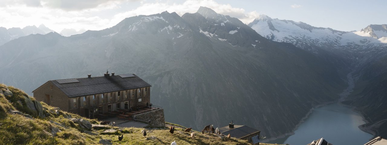 Olpererhütte in de Zillertaler Alpen, © Tirol Werbung/Jens Schwarz