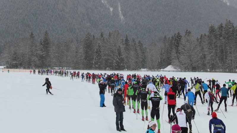 De Achensee 3-Täler-Lauf in Pertisau, © Achensee Tourismus