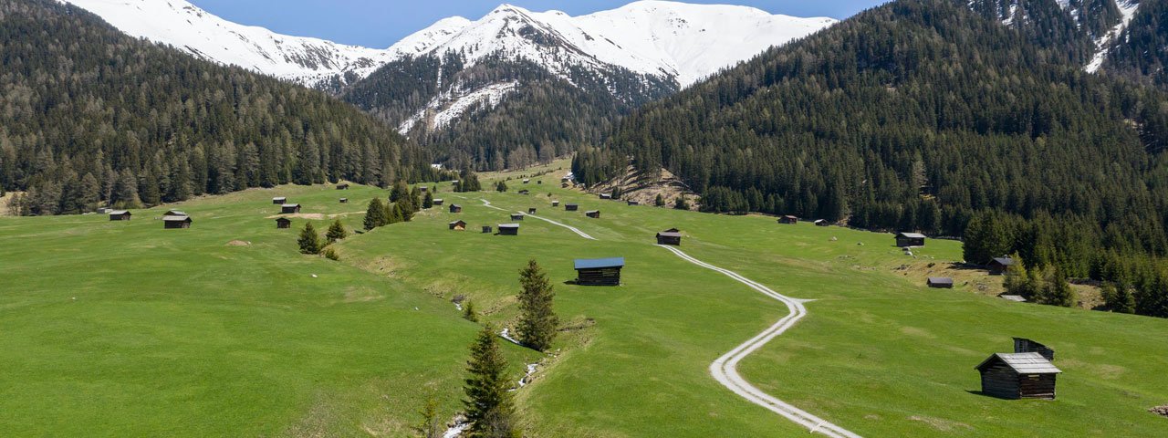 Lente in Pfundser Tschey in der Pfundser Tschey, © Tirol Werbung/Marion Webhofer