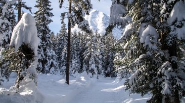 Auf der Waldloipe Leutasch, © Region Seefeld