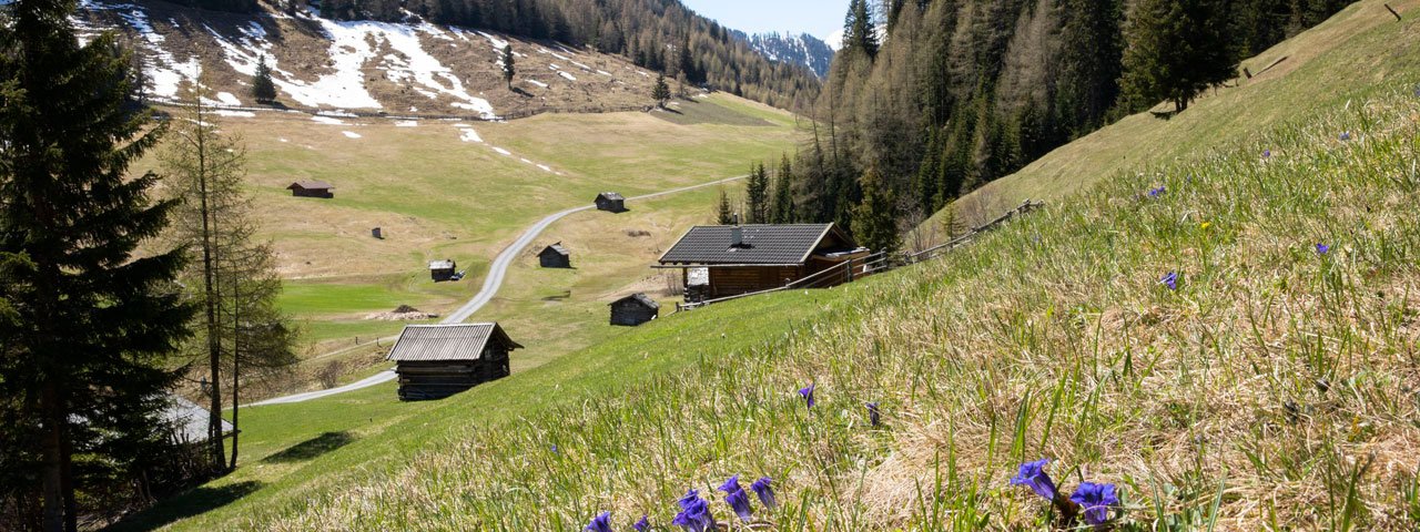 Lente in Pfundser Tschey, © Tirol Werbung/Marion Webhofer