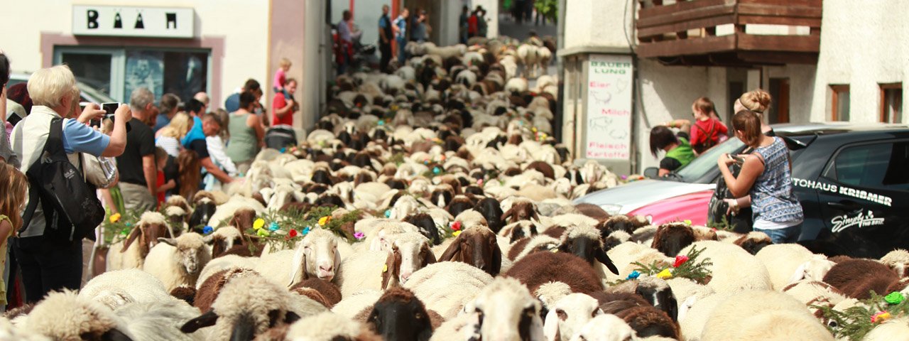 Een lawine van wol: schapen overspoelen de straten van Tarrenz, © Imst Tourismus/Mike Maas