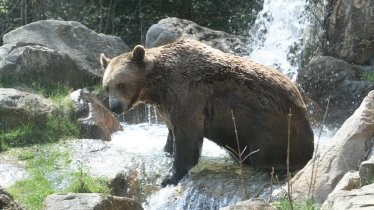 Alpenzoo Innbruck, © TVB Innsbruck/Jörg Moser