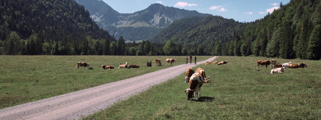 Gravelbiken im Kufsteinerland, © Tirol Werbung