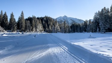 Morgenstimmung im Wildmoos auf der Loipe C", © Olympia Region Seefeld