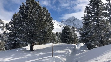 Weg zum "Rotes Wandl", © Ötztal Tourismus