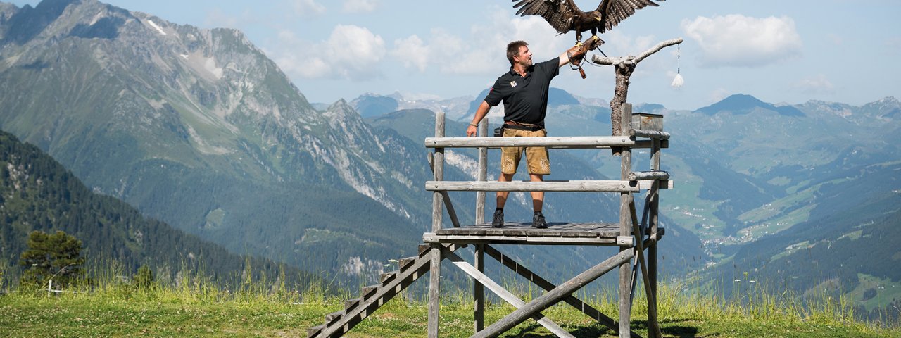 Adlerbühne Ahorn Mayrhofen, © Mayrhofen Bergbahnen