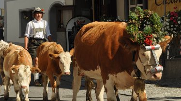 Bezoekers bewonderen de prachtig versierde dieren zodra ze aankomen in het dal, © TVB Stubai Tirol