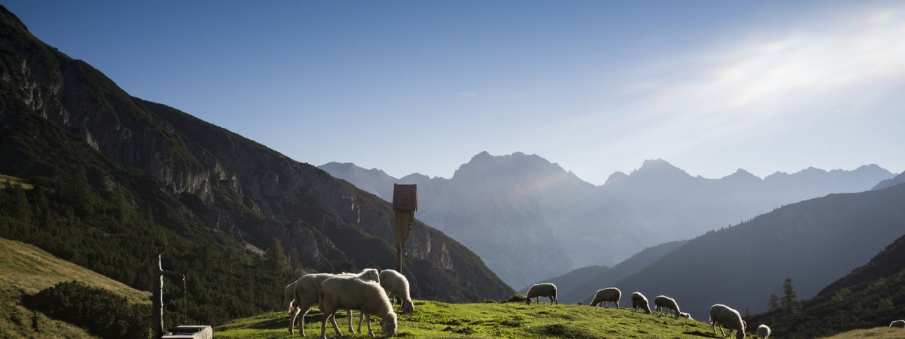 Adelaarsweg etappe 14: Solsteinhaus, © Tirol Werbung/Wiedenhofer Martina