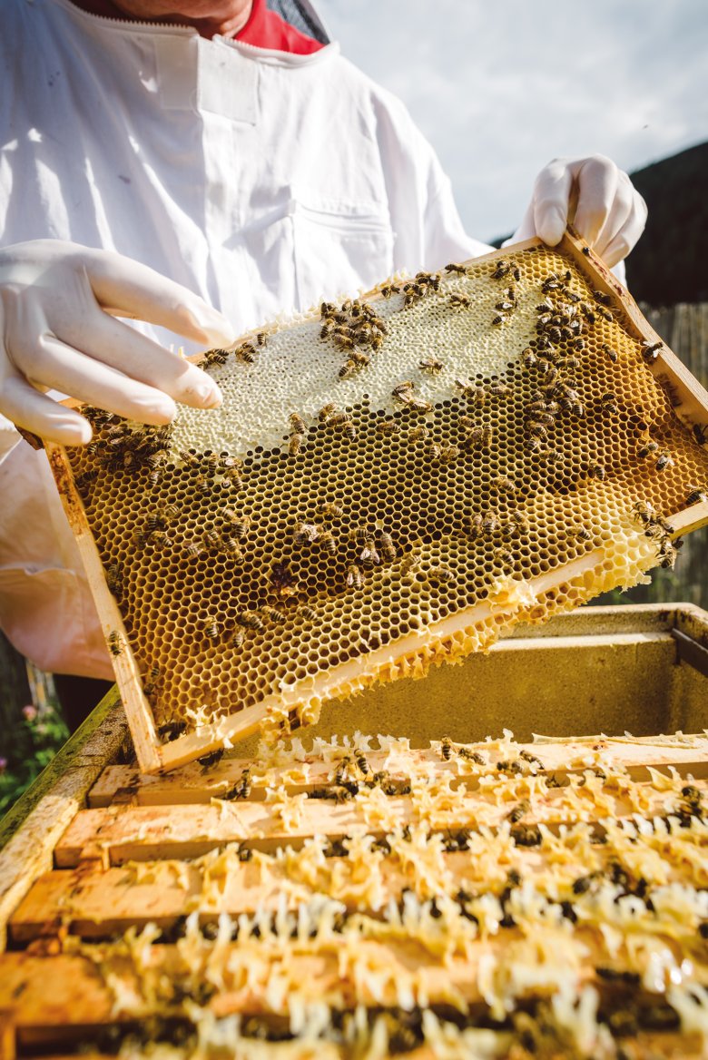 Dit is &eacute;&eacute;n bijenraat. Is een derde van de cellen verzegeld, dan is de honing rijp.
